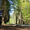 Mt07 location a2